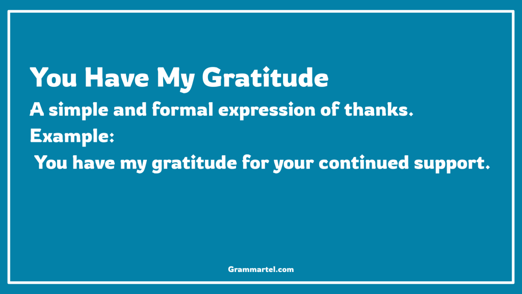 You Have My Gratitude

A simple and formal expression of thanks.