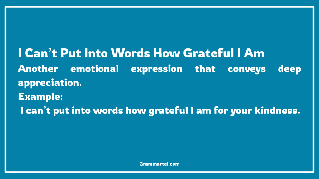 I Can’t Put Into Words How Grateful I Am

Another emotional expression that conveys deep appreciation.